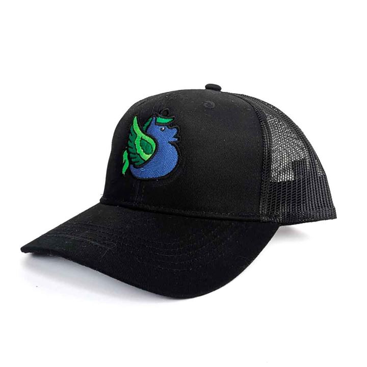 Youth Magical Ducks Galewing the Flying Horse Embroidered Low-Profile Snapback 5-Panel Trucker Hat