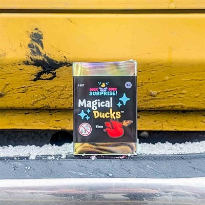 The History of Duck Duck Jeep